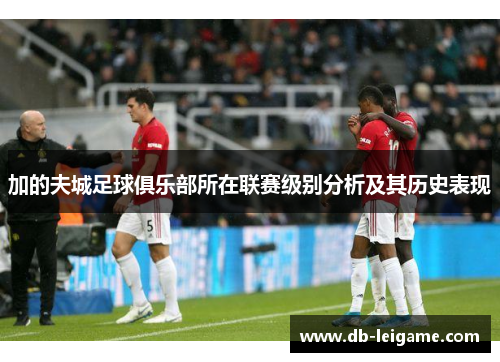 加的夫城足球俱乐部所在联赛级别分析及其历史表现