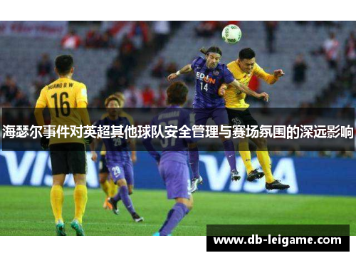 海瑟尔事件对英超其他球队安全管理与赛场氛围的深远影响