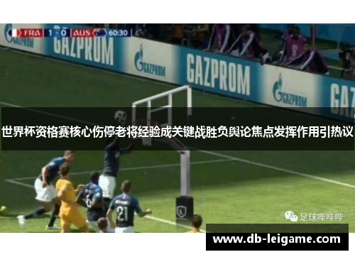 世界杯资格赛核心伤停老将经验成关键战胜负舆论焦点发挥作用引热议